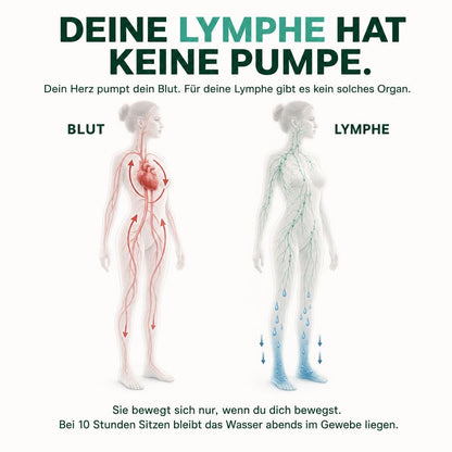 Körperwohl Kapseln