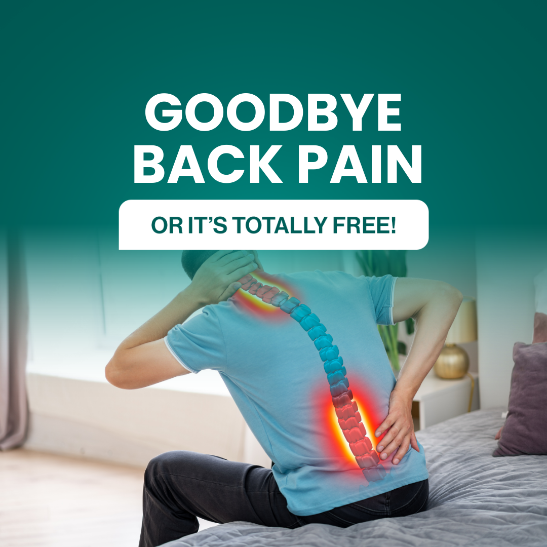BalanceForm™ Lumbar Support
