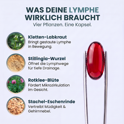 Körperwohl Kapseln